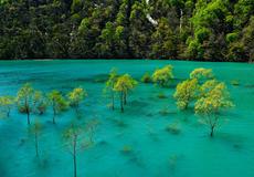 紅葉と日本酒を愉しむ夕べ