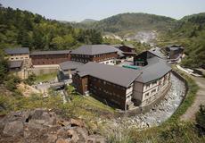 【2個売り】玉川の湯 リラクゼーション 本物にこだわった究極の癒し 温泉 昭和レトロな温泉銭湯 玉川温泉