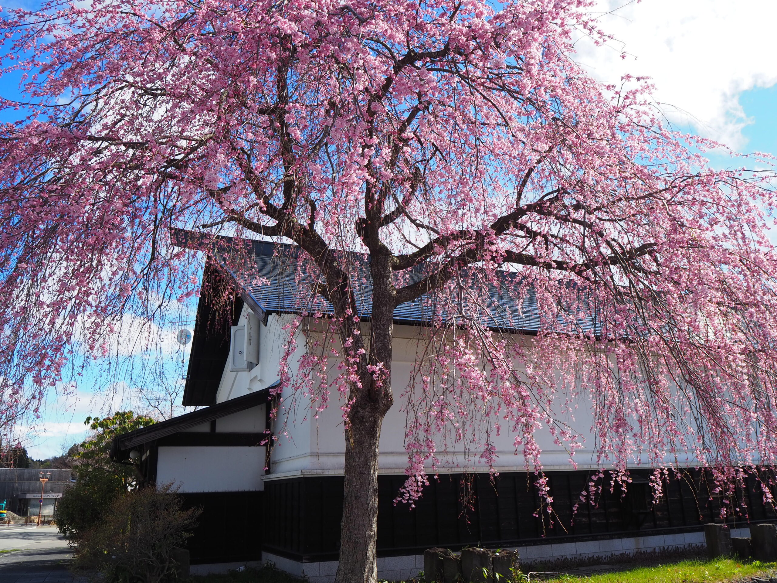 พื้นที่คาคุโนะดาเตะ