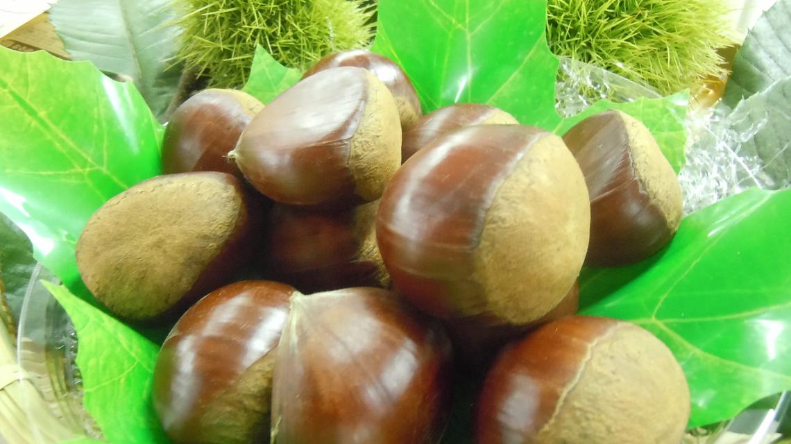 Saimyoji Chestnuts