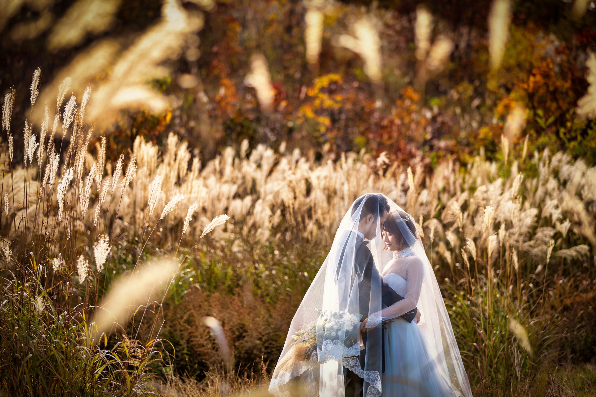 Location Introduction - Nyuto Onsenkyo (Hot Springs and Beech Forest)