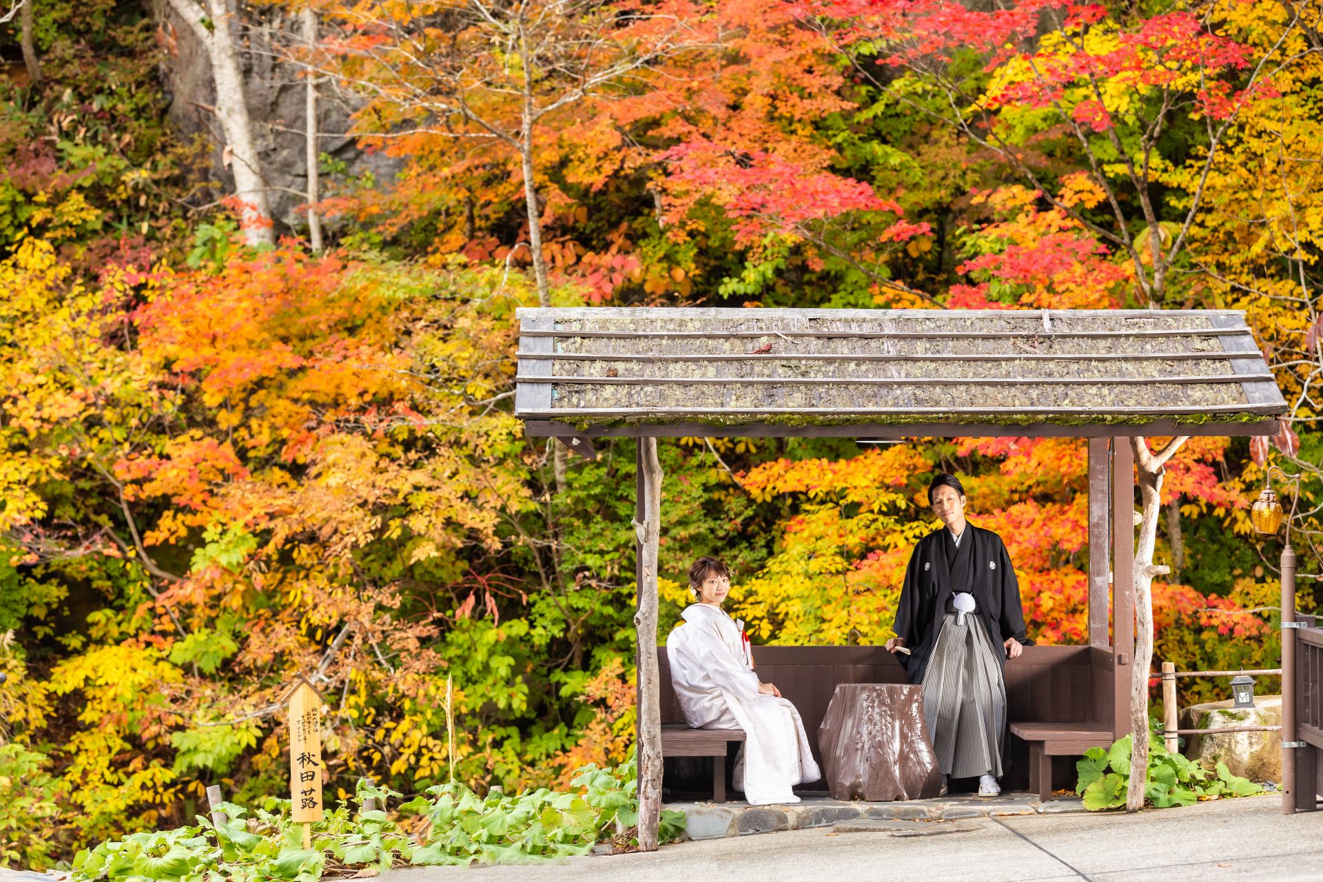 Location Introduction - Nyuto Onsenkyo (Hot Springs and Beech Forest)
