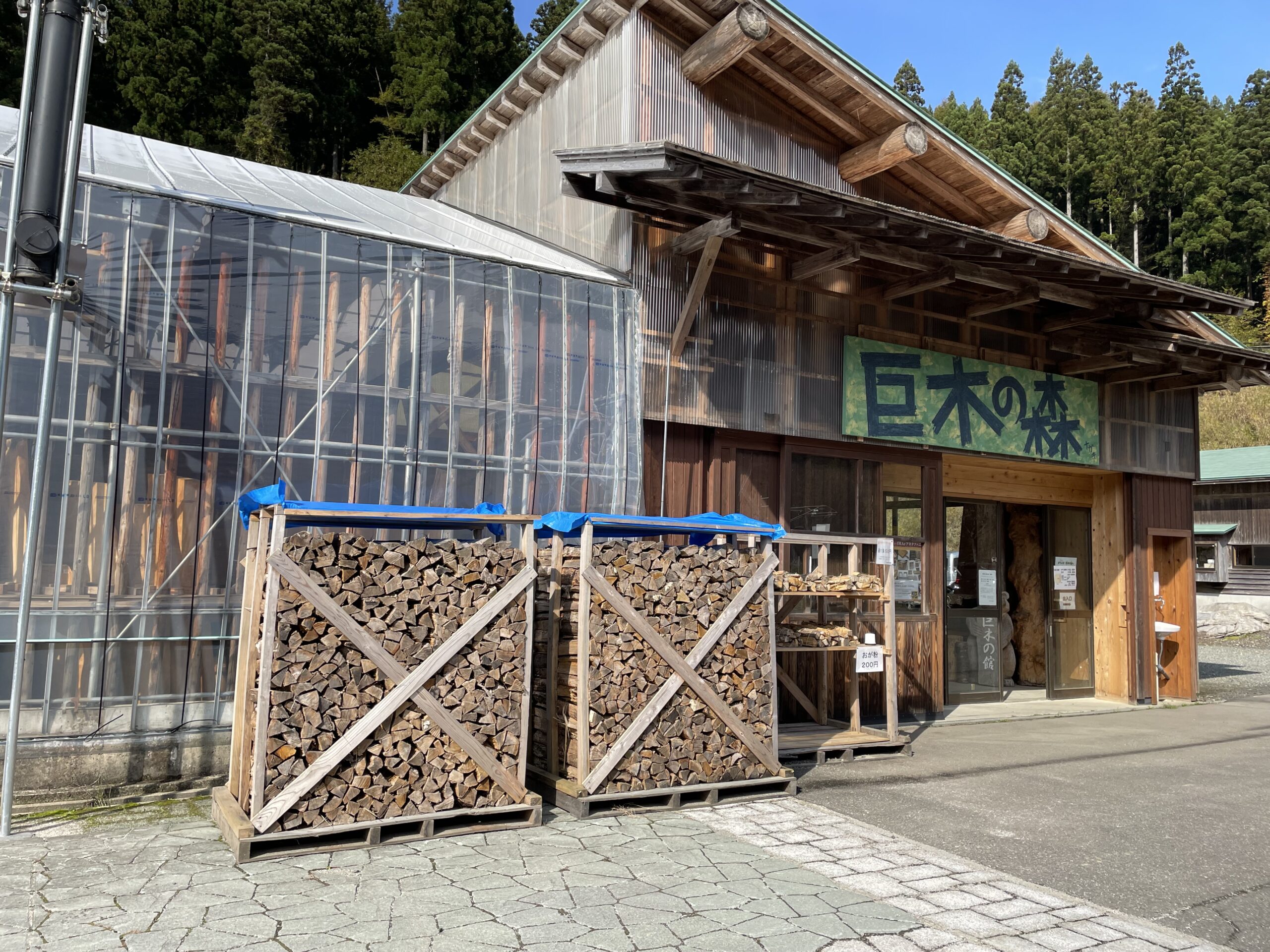 木の展示場「巨木の森」