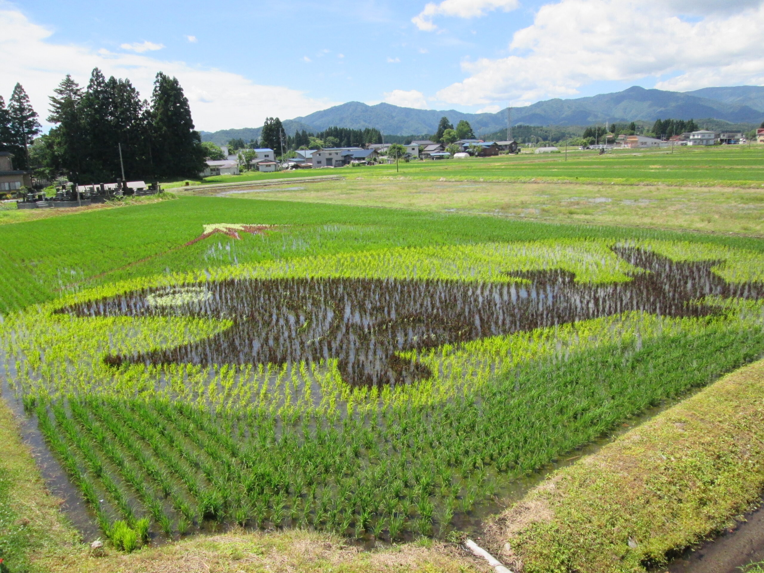 บริษัท อากิตะ ไนริคุ จูกัง เท็ตสึโด