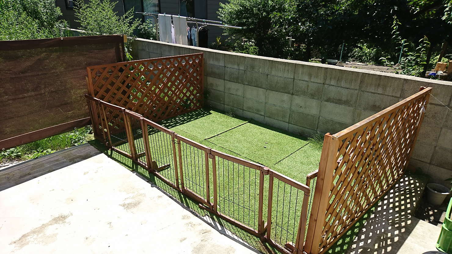 Dining options along with pet dog