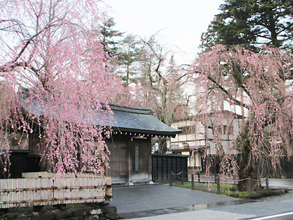 Kakunodate Kabazaiku Densyokan