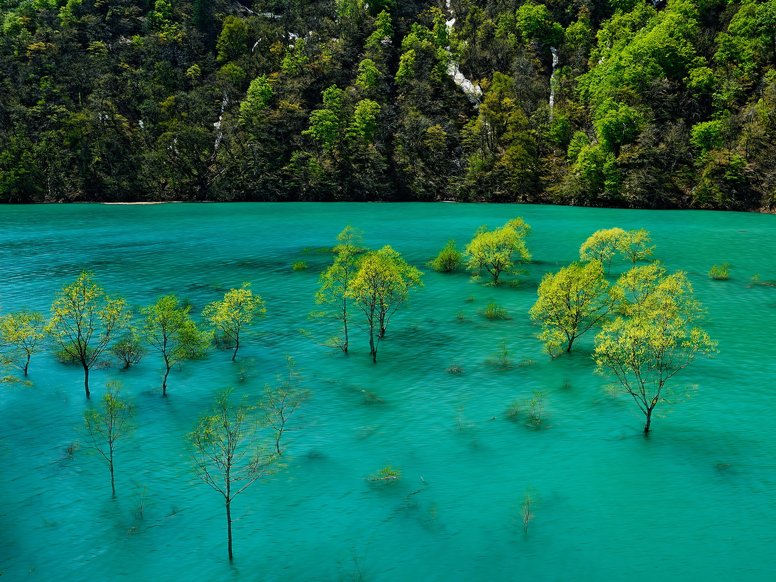 Shuusenko(Yoroihata dam lake)