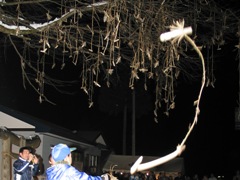 Nakazato of Kandekko fried