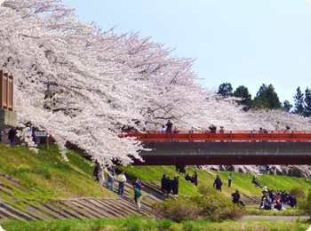 At one point, the entire area was in danger of being cut down!