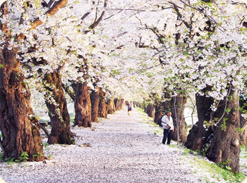 Overcoming the crisis and moving towards national designation